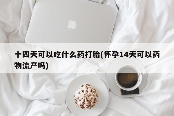 网上米非米索在线购买十四天可以吃什么药打胎(怀孕14天可以药物流产吗)